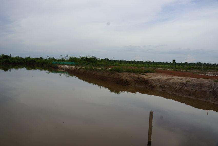 Agriculture Land for sale in laos10