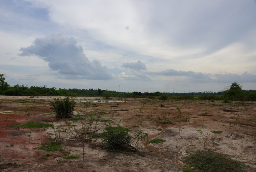 Agriculture Land for sale in laos13