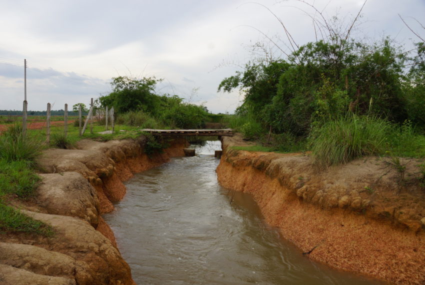 Agriculture Land for sale in laos16