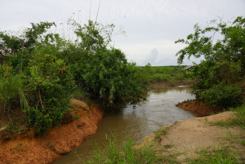 Agriculture Land for sale in laos17