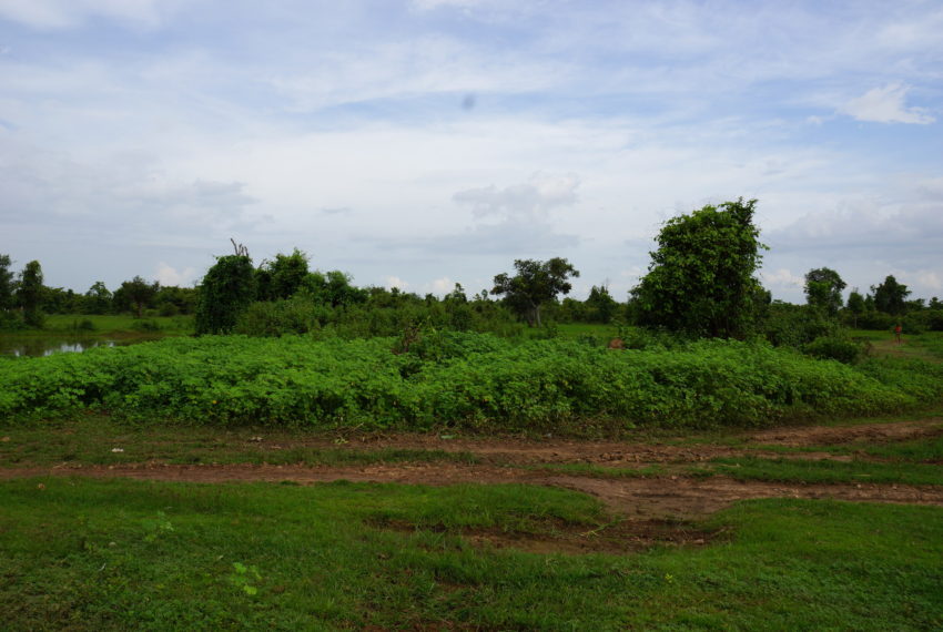 Residential land for sale3