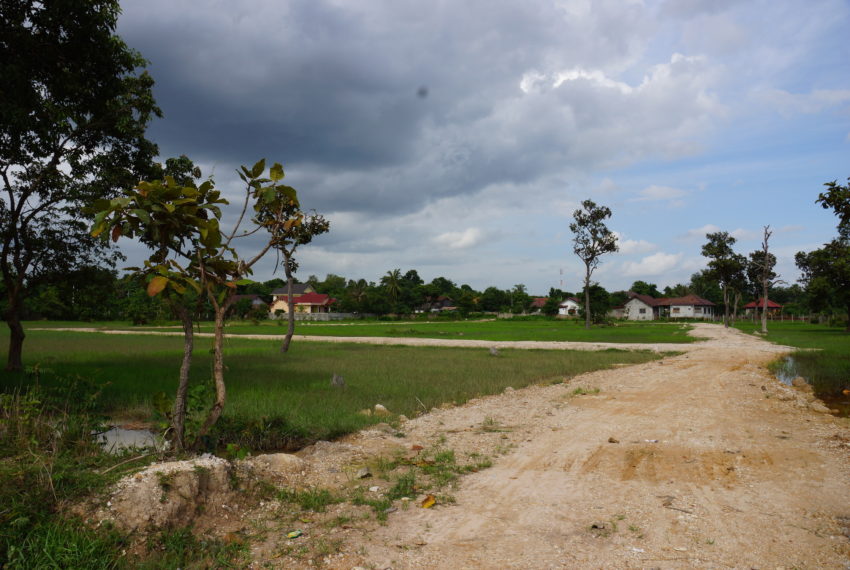 Residential land in Vientiane0