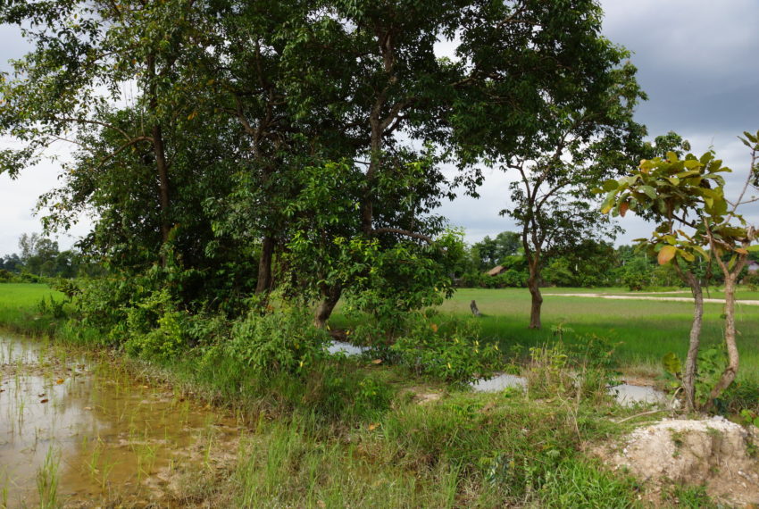 Residential land in Vientiane1