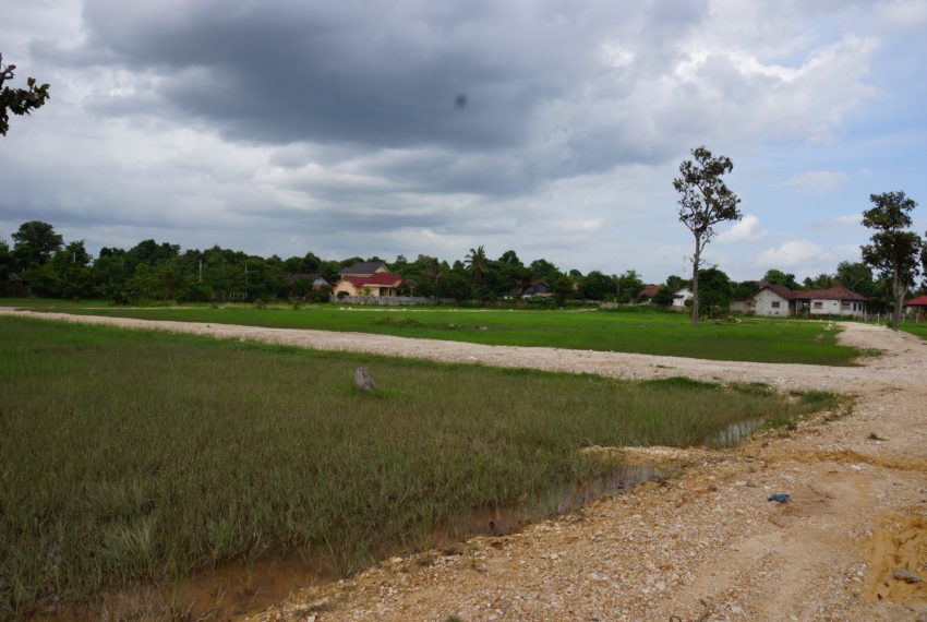 Residential land in Vientiane3