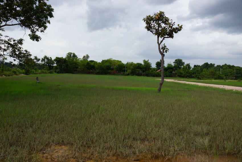 Residential land in Vientiane4