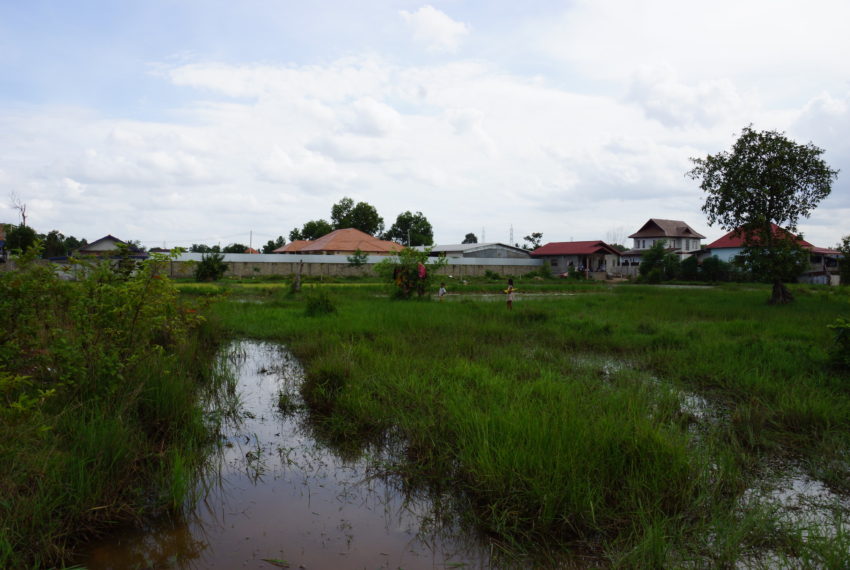 Residential land in Vientiane6