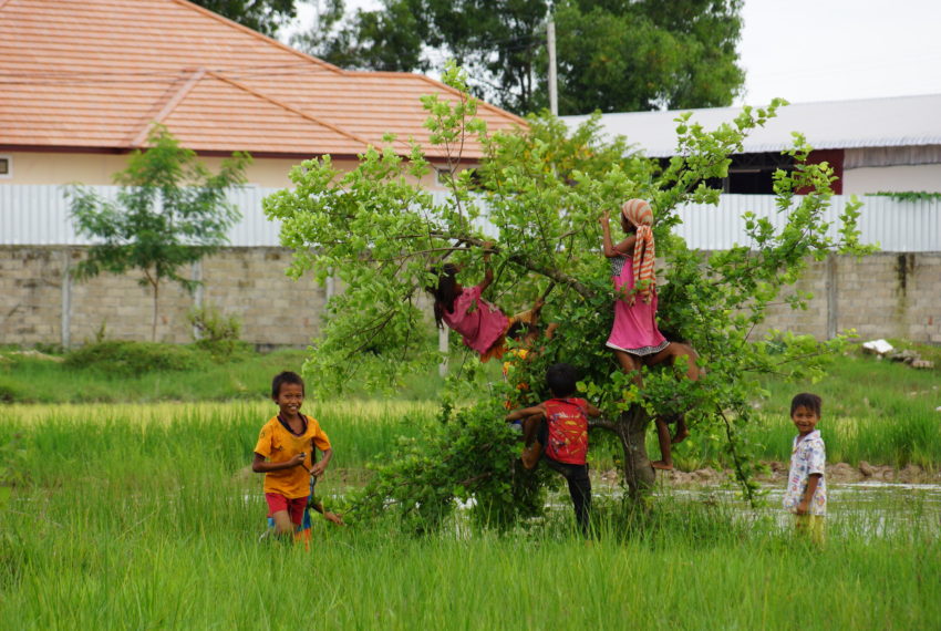 Residential land in Vientiane7