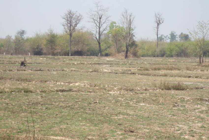 Agicuiture  Land (3)