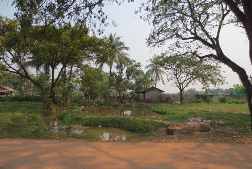 Agricuiture    Land (6)