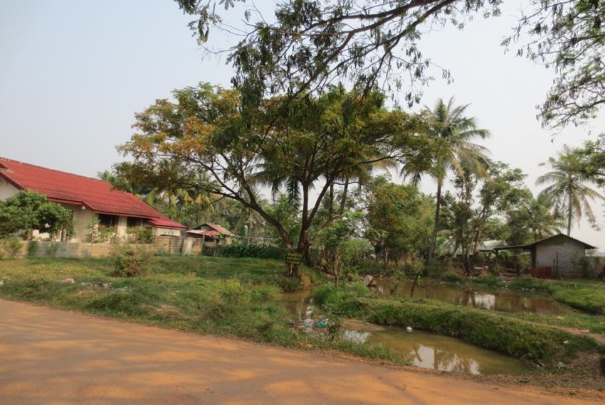 Agricuiture    Land (7)