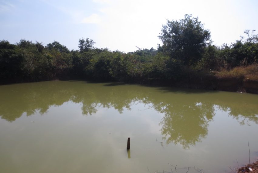 Agriculfure   Land (3)