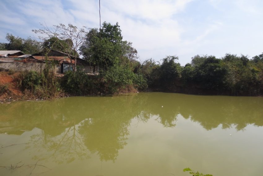 Agriculfure   Land (5)