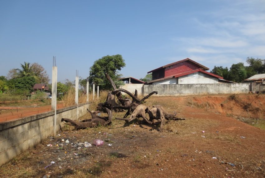 Agriculfure   Land (8)