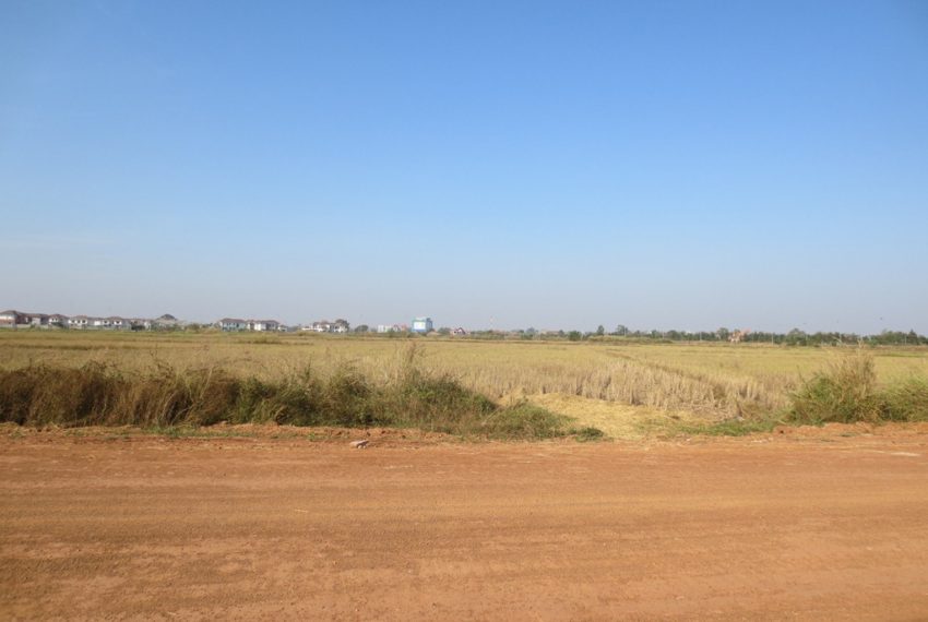 Agriculfure  Land sale (11)