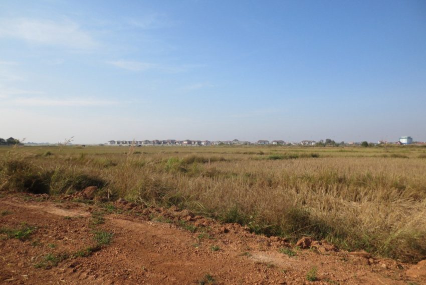 Agriculfure  Land sale (3)