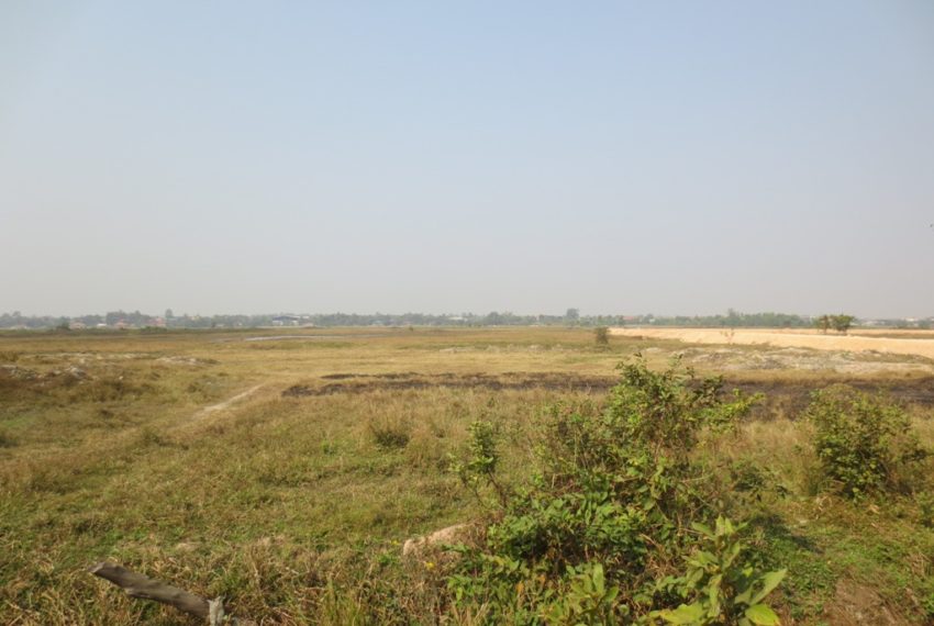 Agriculture For Sale (2)