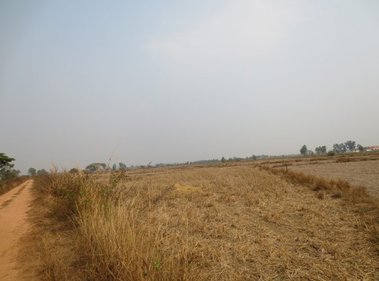 Agriculture Land (1)