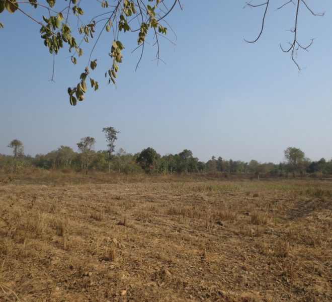 Agriculture Land (1)