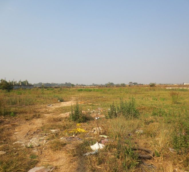 Agriculture Land (1)