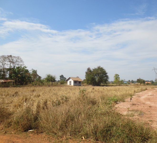 Agriculture Land (1)