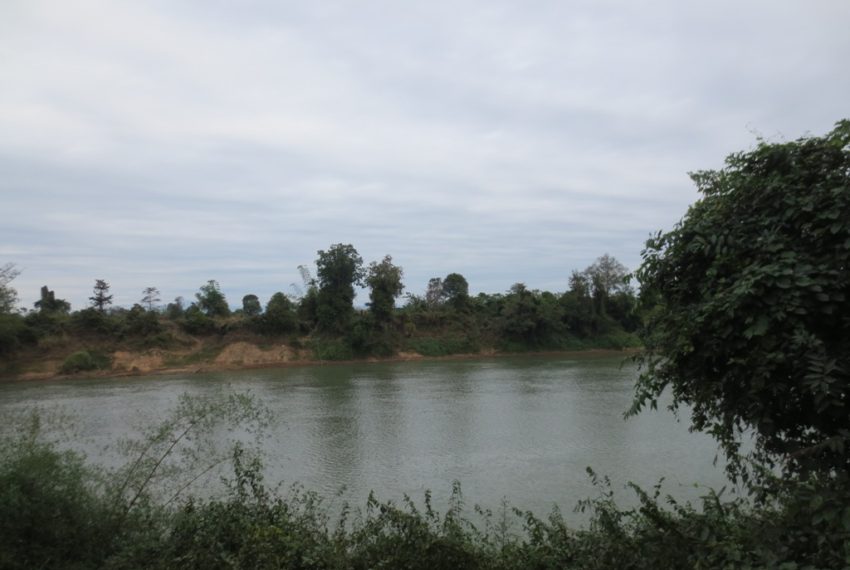 Agriculture Land (12)
