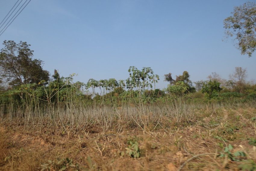 Agriculture Land (2)