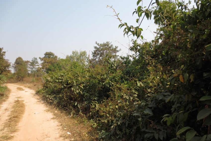 Agriculture Land (2)