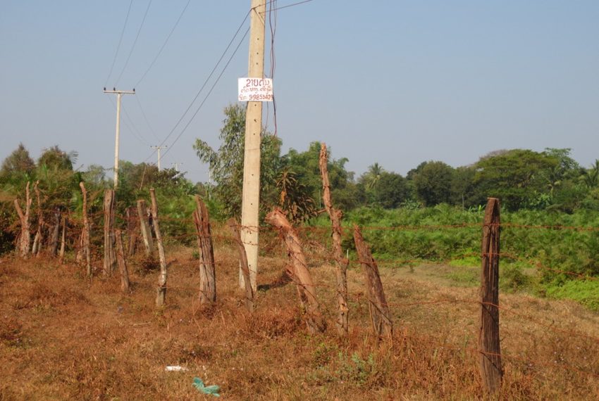 Agriculture Land (4)