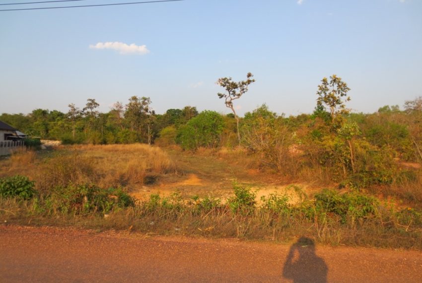 Agriculture Land (4)