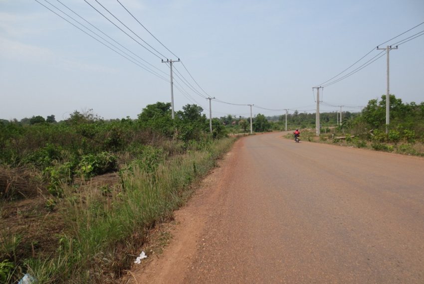 Agriculture Land (4)