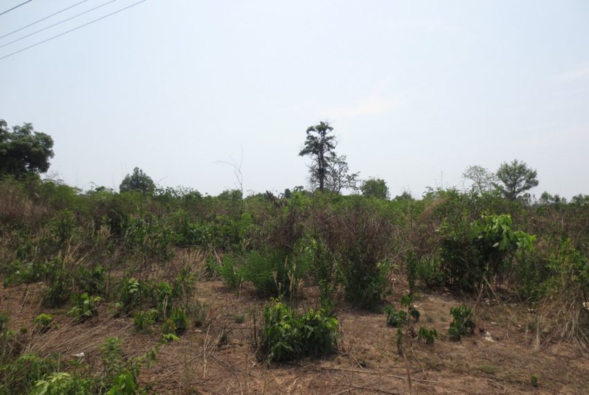 Agriculture Land (5)
