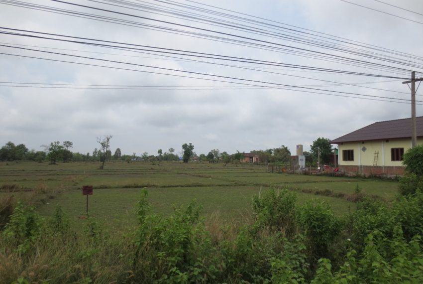 Agriculture Land (5)