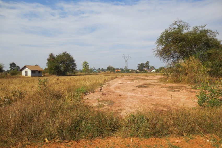 Agriculture Land (5)
