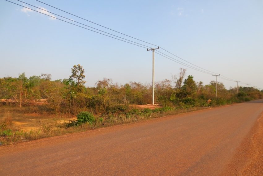 Agriculture Land (6)