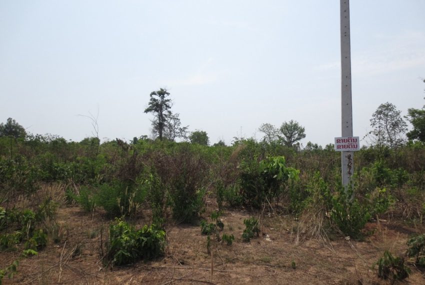 Agriculture Land (6)