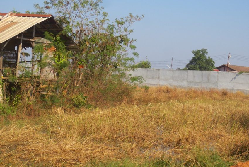 Agriculture Land (6)