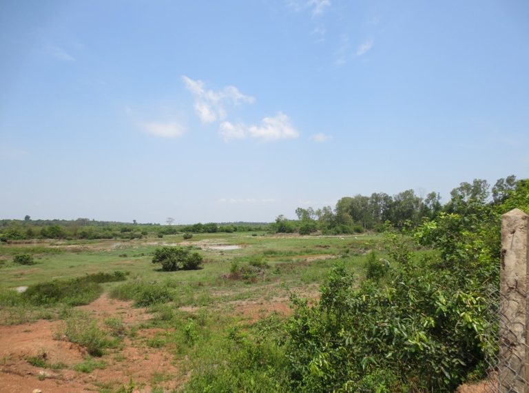 Agriculture Land (6)