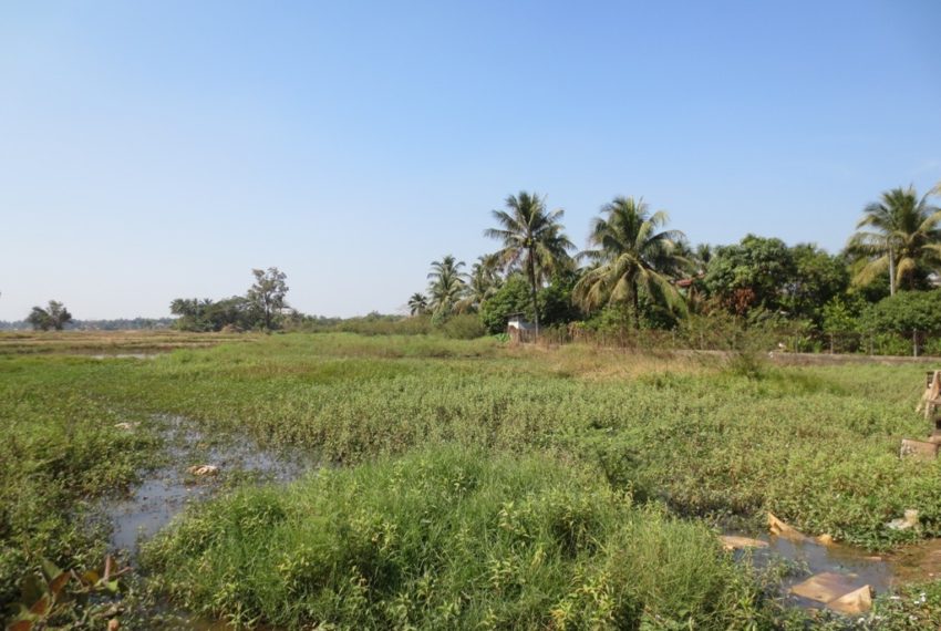 Agriculture Land (7)