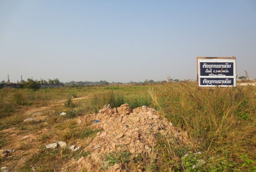 Agriculture Land (7)