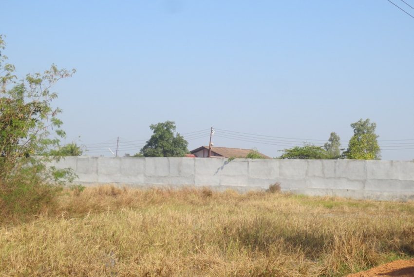 Agriculture Land (7)