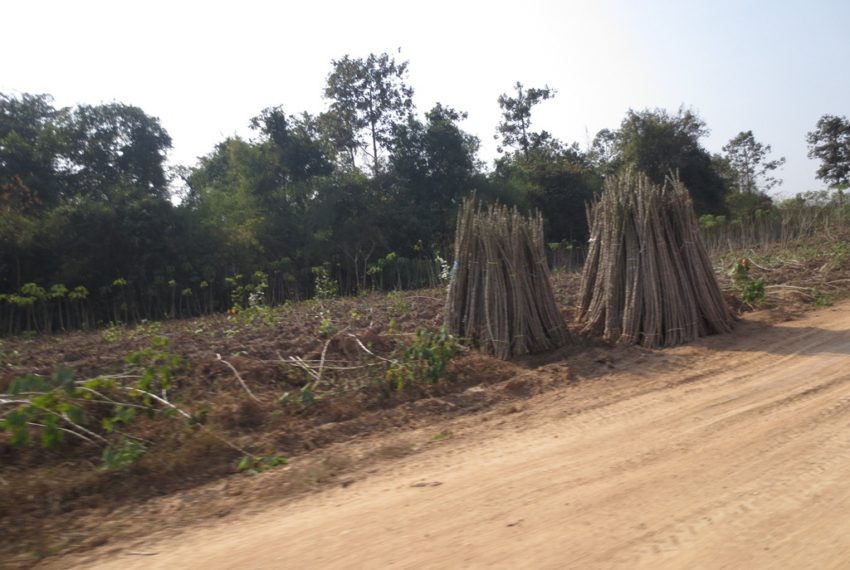 Agriculture Land (7)