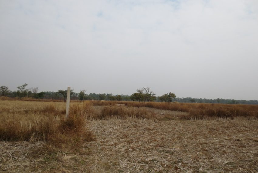 Agriculture Land (8)