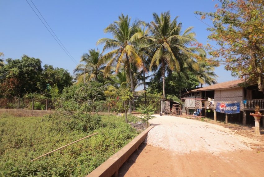 Agriculture Land (8)