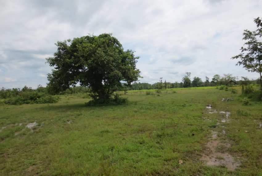 Agriculture Land For Sale (1)