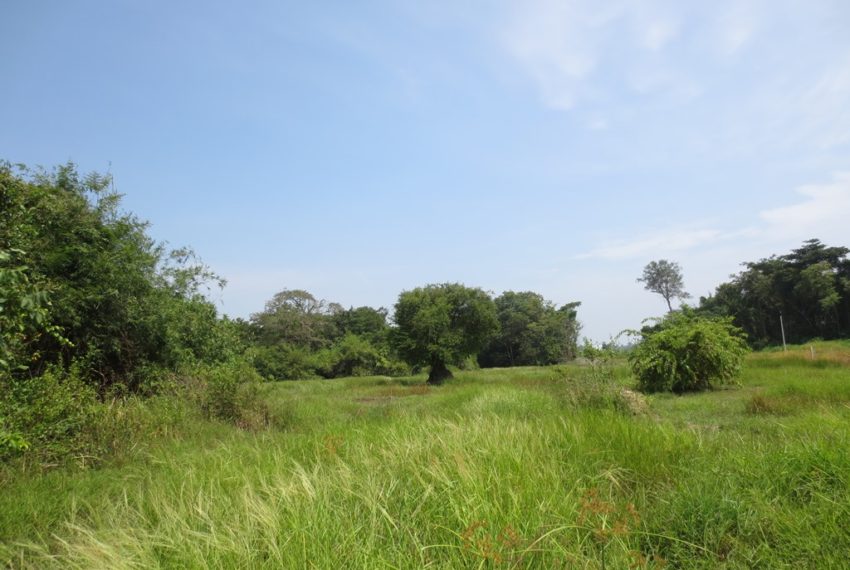 Agriculture Land For Sale (1)