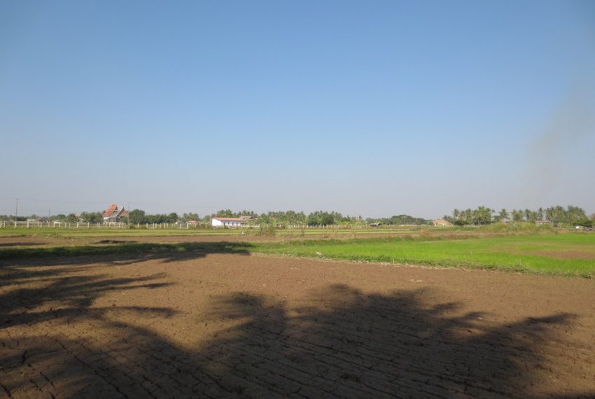 Agriculture Land For Sale (1)