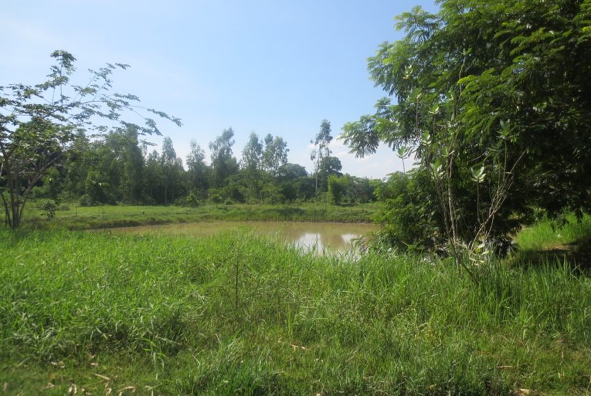 Agriculture Land For Sale (17)