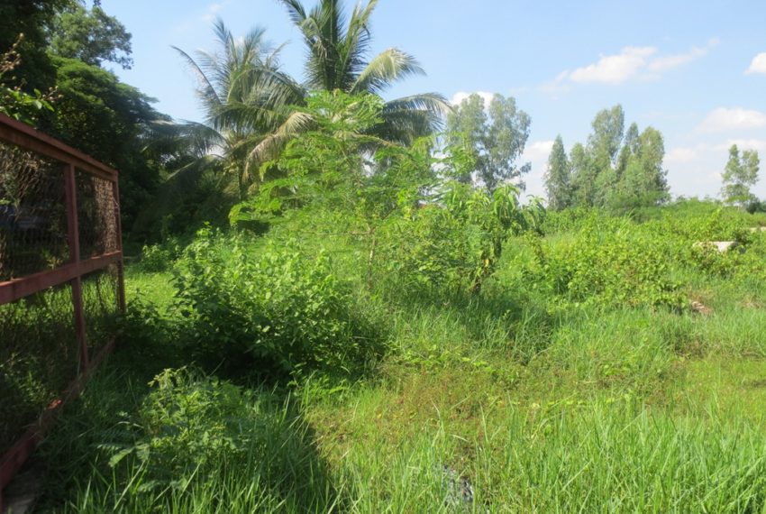 Agriculture Land For Sale (2)