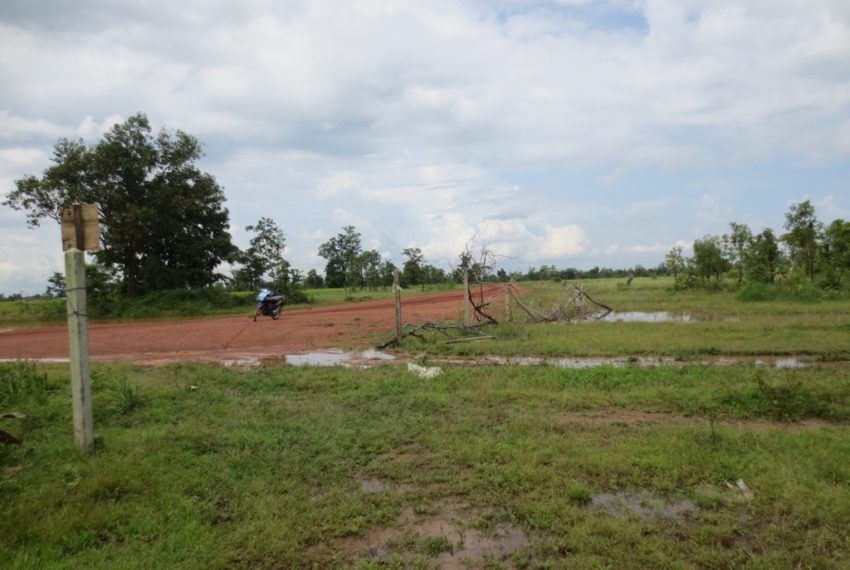 Agriculture Land For Sale (3)