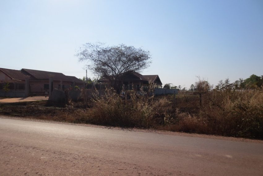 Agriculture Land For Sale (3)